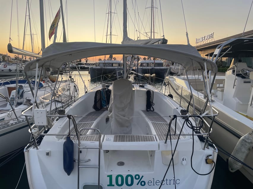 Denia: Whale and Dolphin Watching Morning Experience - Key points at a glance