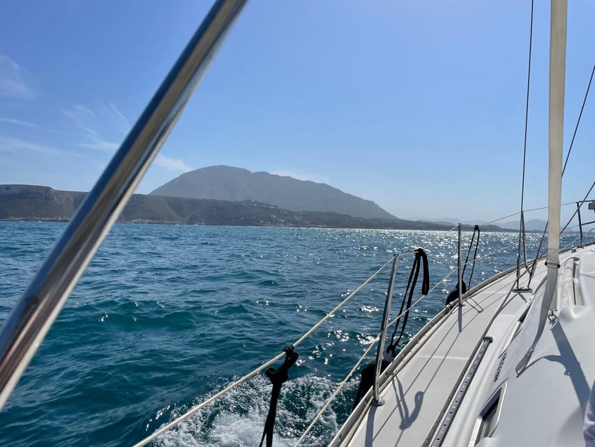 Denia: Whale and Dolphin Watching Morning Experience - Learning why Denia matters for cetaceans
