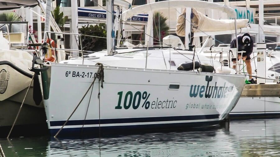 Denia: Whale and Dolphin Watching Morning Experience - Listening below the surface with a hydrophone