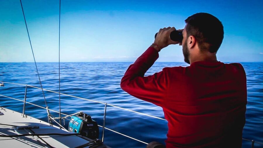 Denia: Whale and Dolphin Watching Morning Experience - The $112 price and what you receive