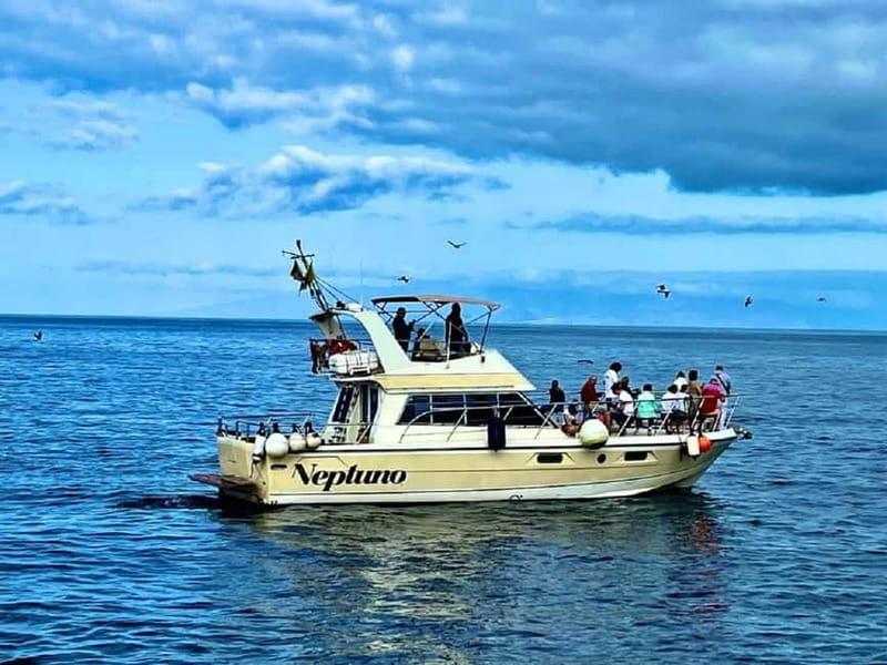 Discover whales in Tenerife: exclusive yacht tour with swim and lunch - Key points before you book