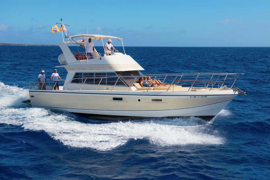Discover whales in Tenerife: exclusive yacht tour with swim and lunch - Leaving Los Cristianos in a 20-person yacht