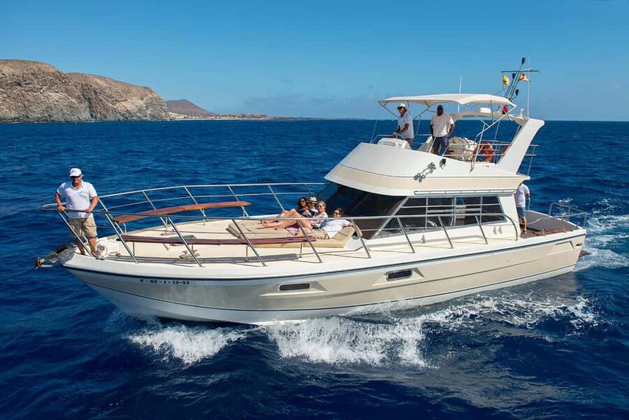Discover whales in Tenerife: exclusive yacht tour with swim and lunch - A sheltered bay, clear water, and time to swim