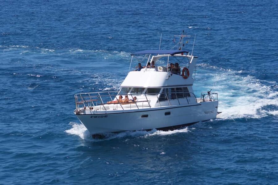 Discover whales in Tenerife: exclusive yacht tour with swim and lunch - Lunch on board, with a few practical caveats