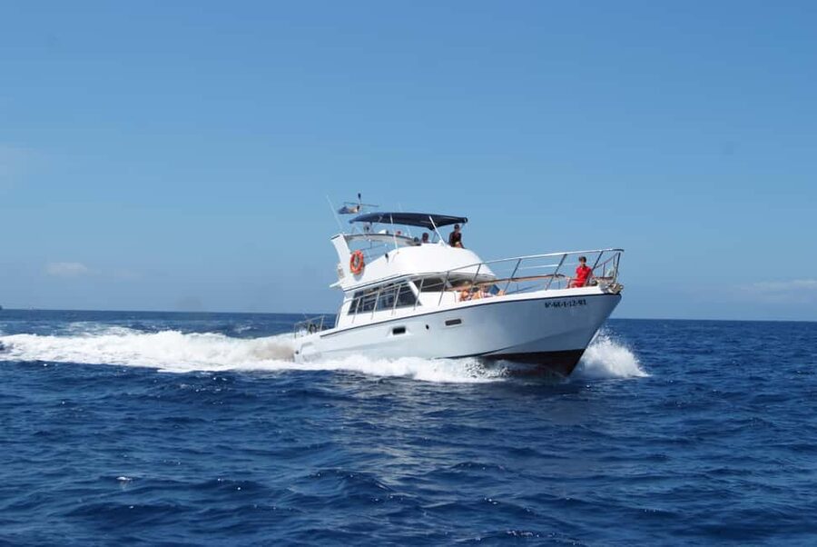 Discover whales in Tenerife: exclusive yacht tour with swim and lunch - FAQ