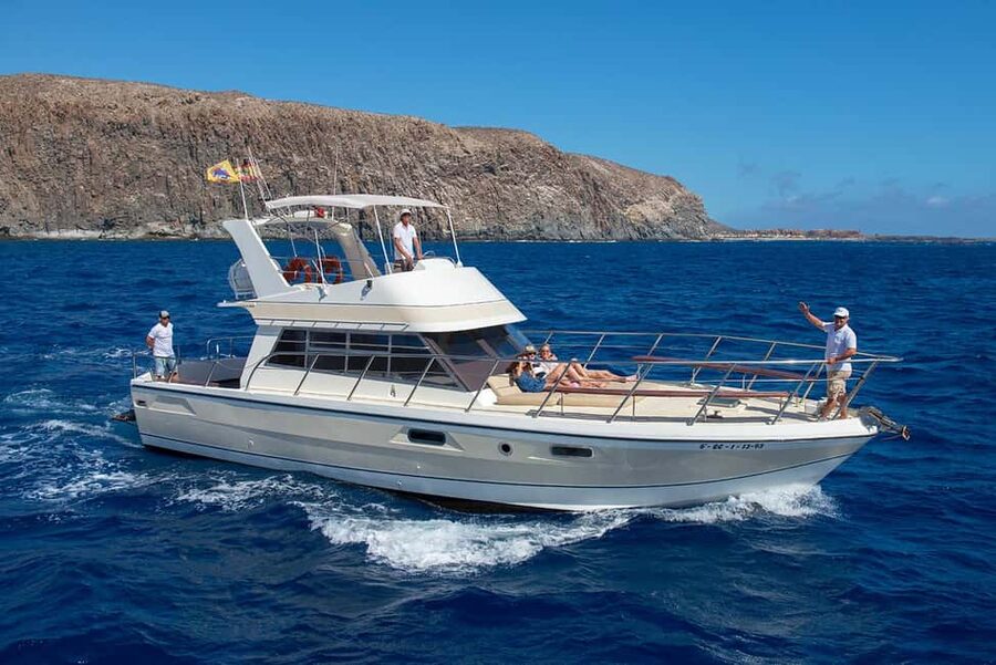 Discover whales in Tenerife: exclusive yacht tour with swim and lunch - Watching whales and dolphins off Tenerife’s southwest coast