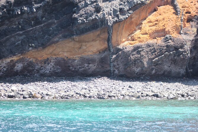 Dolphin and Whale Sailing Tour in Los Gigantes - Setting out from the Los Gigantes marina