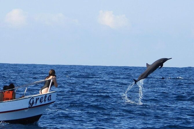 Dolphin and Whale Watching Boat Trip in Puerto Escondido - Key points to know before booking