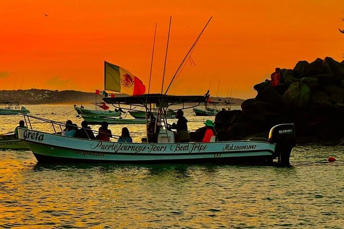 Dolphin and Whale Watching Boat Trip in Puerto Escondido - Why this Puerto Escondido boat trip is worth your morning