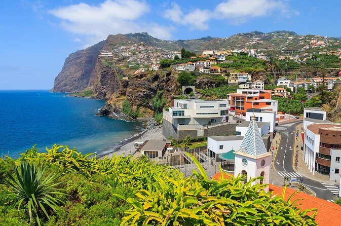 Dolphin and Whale Watching Catamaran Cruise from Funchal - Five things to know before you book