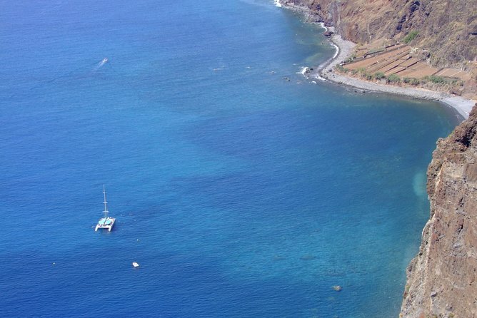 Dolphin and Whale Watching Catamaran Cruise from Funchal - How much value do you get for $48.27?