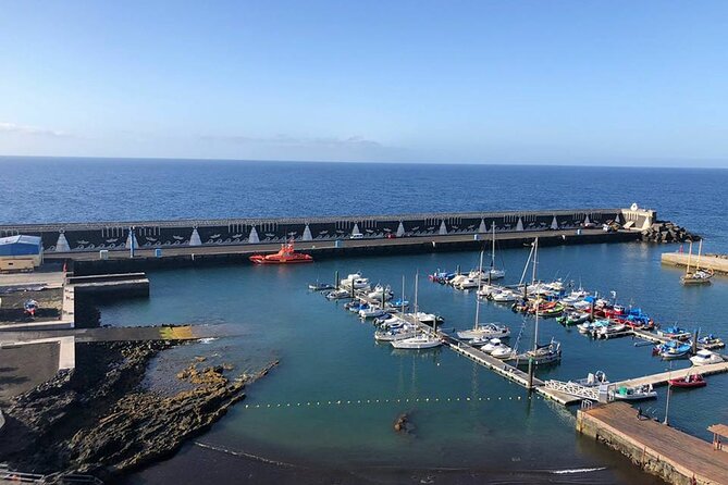 Dolphin and Whale Watching in La Restinga - The Marine Reserve and Responsible Wildlife Watching