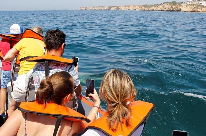 Dolphin and Whale Watching in Lagos - What the guide adds to the experience