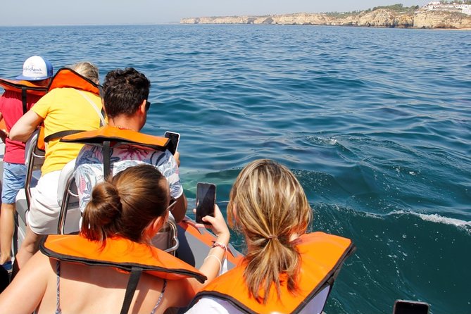 Dolphin and Whale Watching in Lagos - Timing, weather, and cancellation rules