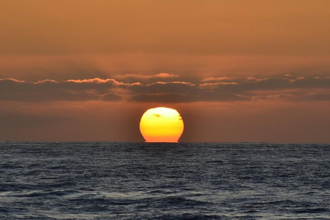 Dolphin and Whale Watching Sunset Cruise - Is $71 a fair price for two to three hours?