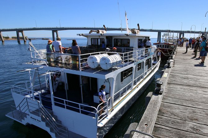 Dolphin & Whale Cruise - Setting out from San Remo at 1:00 pm