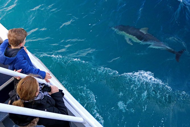 Dolphin & Whale Cruise - Seal Rock is the first strong wildlife focus