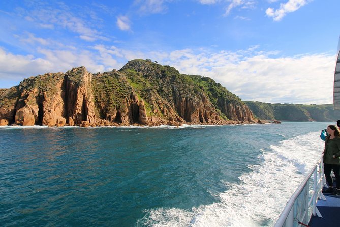 Dolphin & Whale Cruise - Who will enjoy this Phillip Island cruise?