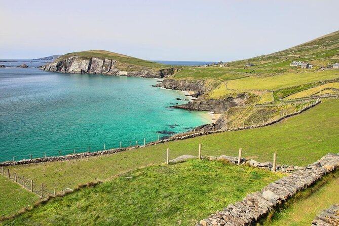 Dolphin & Whale Watching (4hrs) + Blasket Island Landing (3hrs) - Leaving Ventry Pier at 10am