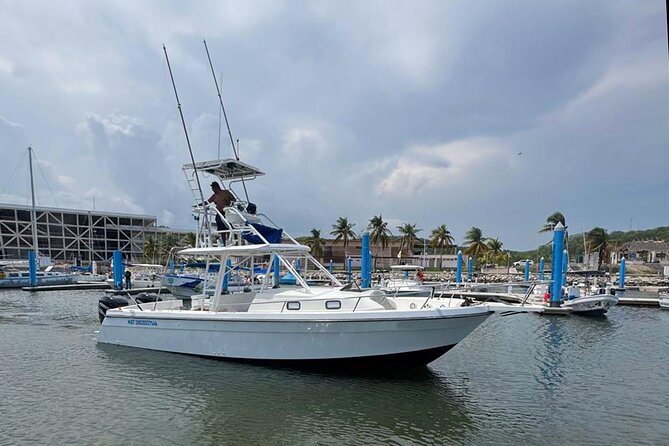 Dolphin & Whale Watching with Marine Biologists - Huatulco National Park and the offshore search