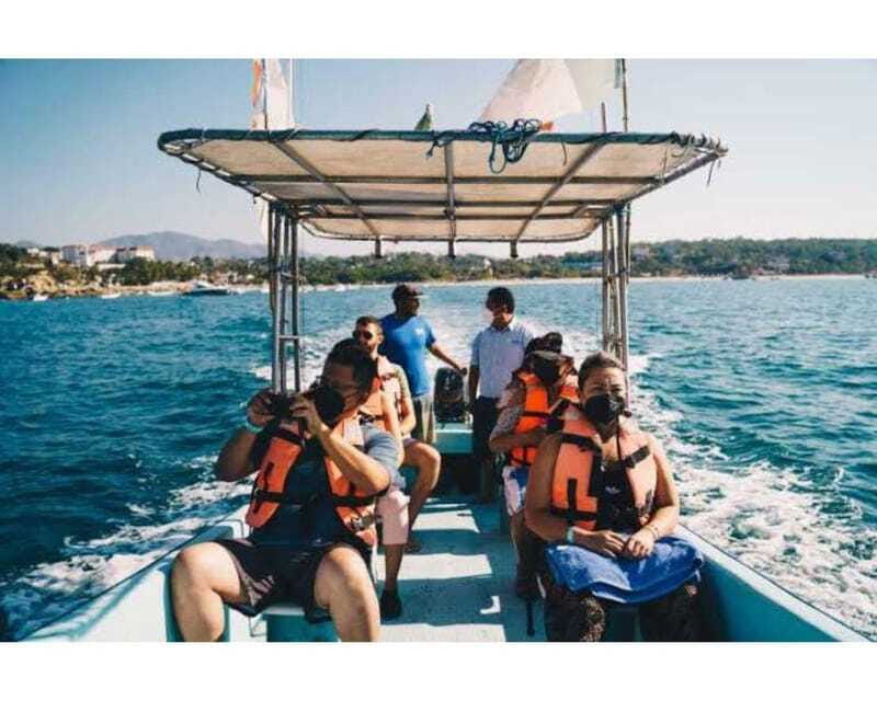 Dolphins and whales watching in Puerto Escondido. - Reaching Puerto Escondido’s principal bay