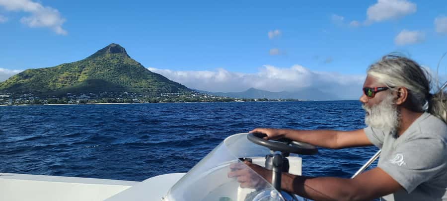 Dolphins & Whales, Private Tour Snorkeling - The crew can shape the whole morning