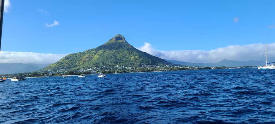 Dolphins & Whales, Private Tour Snorkeling - Booking details and cancellation flexibility
