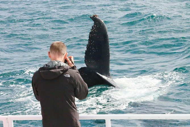 Dunsborough Whale Watching Eco Tour - Who will enjoy this cruise most?