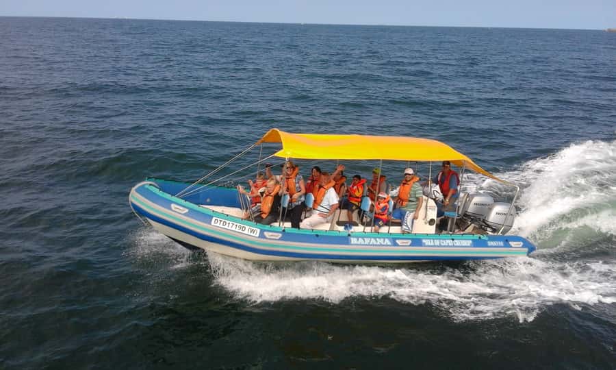 Durban: Durban: Whale and Dolphin Watching Boat Tour - Key points to know before you go