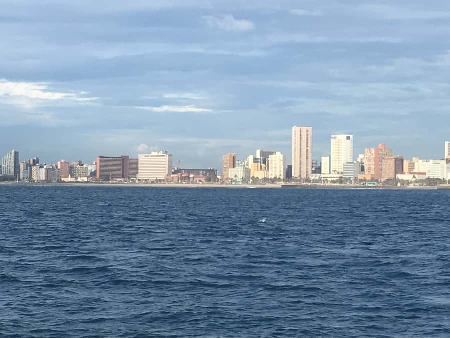 Durban: Durban: Whale and Dolphin Watching Boat Tour - Why the small boat changes the experience