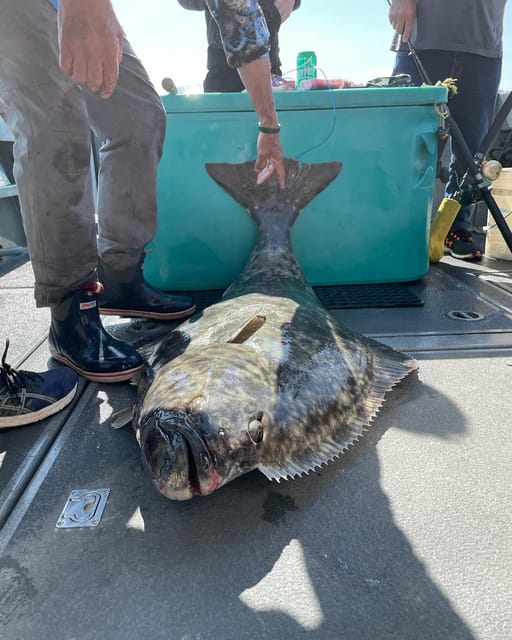 Ear Mountain Charters tours: whale watching or fishing - Hoonah gives the tour a local starting point