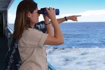 Early Bird Whale Watching Cruise from Waikiki