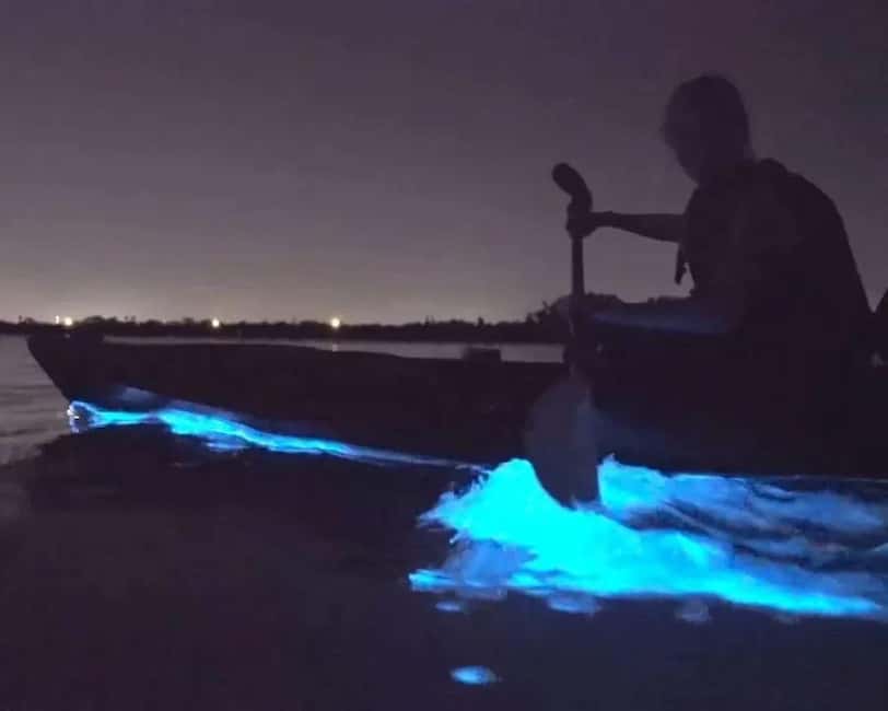 Eastsound: Orcas Island Bioluminescent Kayak Tour - Why the bioluminescence is the main event
