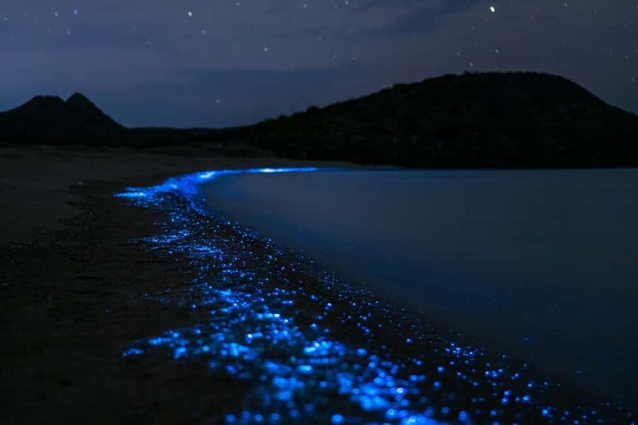 Eastsound: Orcas Island Bioluminescent Kayak Tour - Starting at historic Rosario Resort