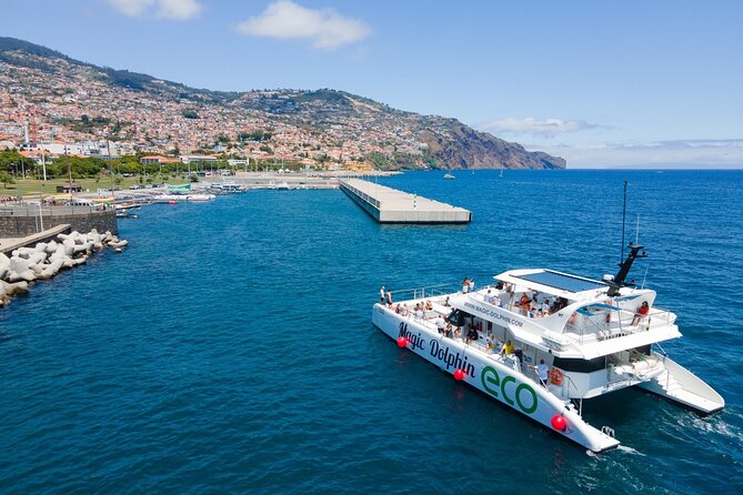 Eco-Friendly Catamaran Dolphin and Whale Watching - Comfort on board, including the front nets