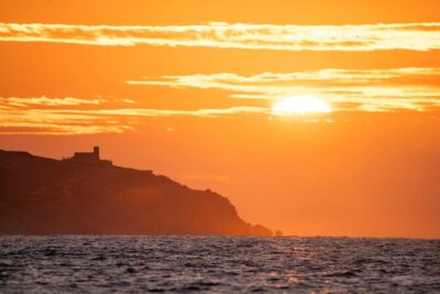 Educational Sunrise Whale Watching with Photos Included