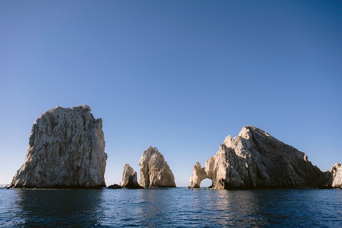 Educational Sunrise Whale Watching with Photos Included - Who Will Enjoy This Cabo Tour Most?