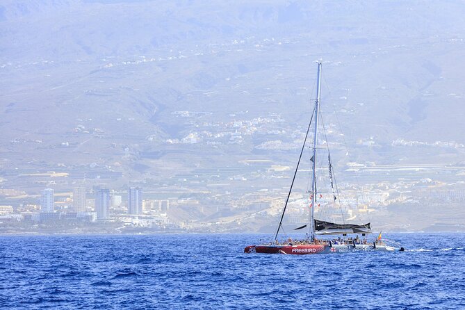 Exclusive Freebird Catamaran Whale and Dolphin Cruise to Caleta - The La Caleta swim stop