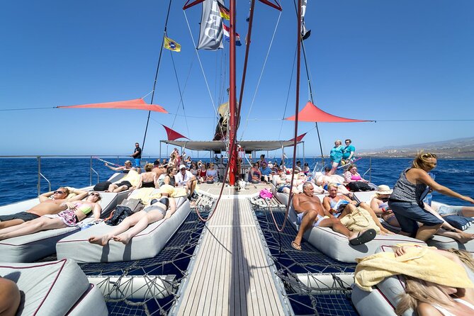 Exclusive Freebird Catamaran Whale and Dolphin Cruise to Caleta - Watching dolphins and pilot whales off Costa Adeje