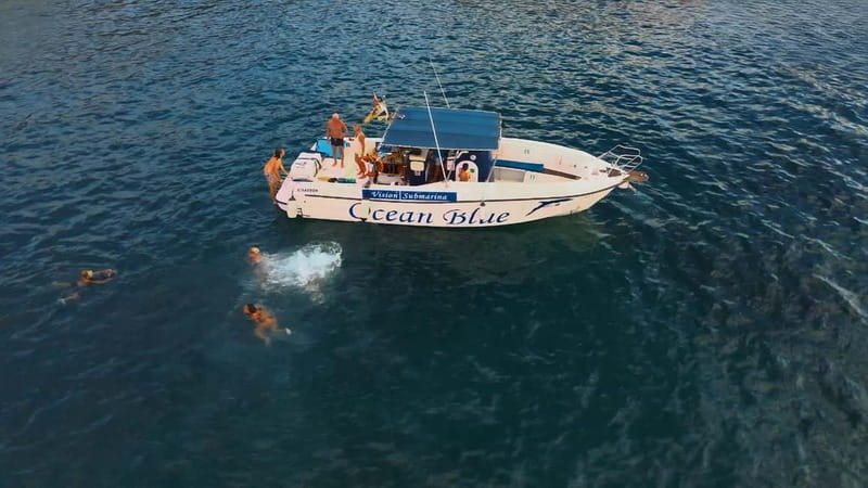Excursion to see the whales - 3 Hours - Starting at Lina Yacht in Puerto Colón