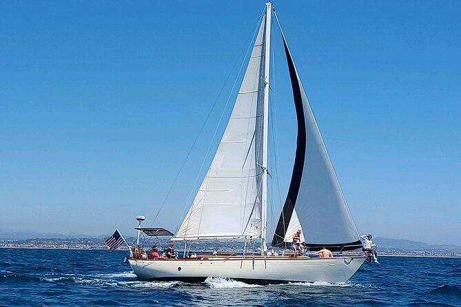 Experience Oceanside Sailing with Whales and dolphins! - Practical booking advice for the two-hour outing