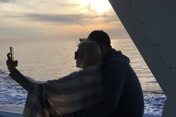 Family and Private Group Whale and Dolphin Watching - Snacks, water, and the BYOB option