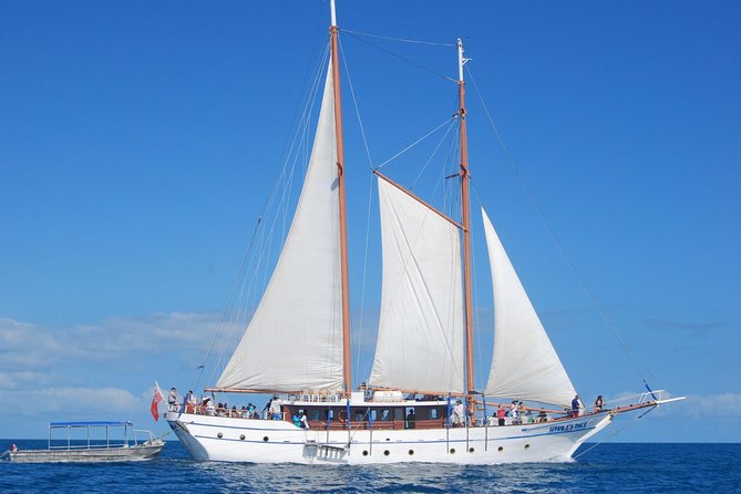 Fijian Islands and Snorkel Full-Day Whales Tale Cruise including Beach BBQ Lunch - Key points at a glance