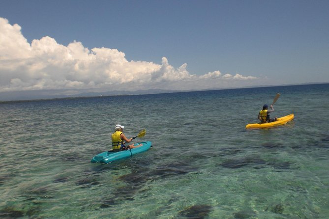Fijian Islands and Snorkel Full-Day Whales Tale Cruise including Beach BBQ Lunch - How the day compares with other island trips