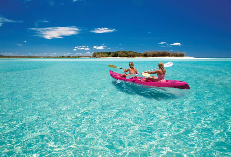 Fraser Island (K'gari): Remote Island and Whale Experience - Lunch on board, then a quieter creek stop