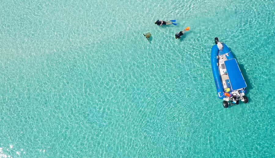 Fraser Island (K'gari): Remote Island and Whale Experience - The whale watching is the real reason to book