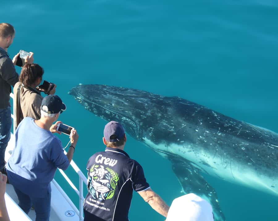 Fraser Island (K'gari): Remote Island and Whale Experience - Is $190 good value?