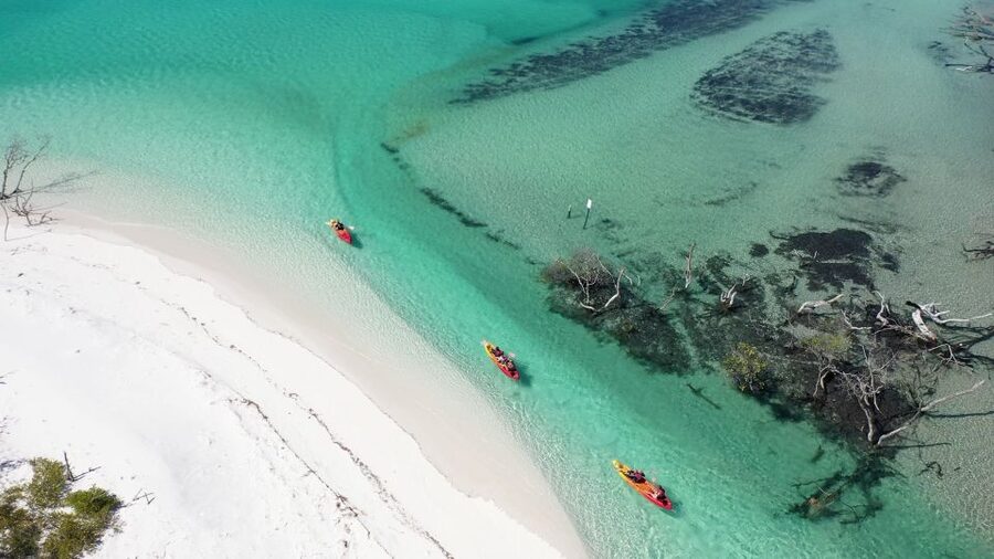 Fraser Island (K'gari): Remote Island and Whale Experience - Who should book this K’gari day?