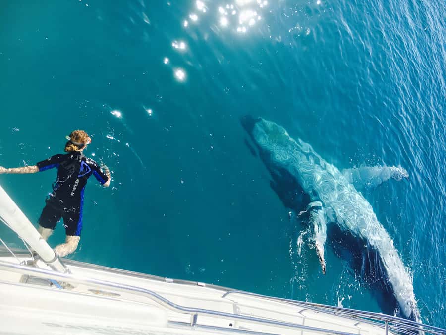 Fraser Island (K'gari): Remote Island and Whale Experience - Wathumba Creek brings the first dose of action