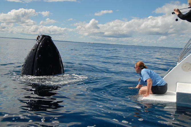 Fraser Island Whale Watch Encounter - The crew and the tone on board